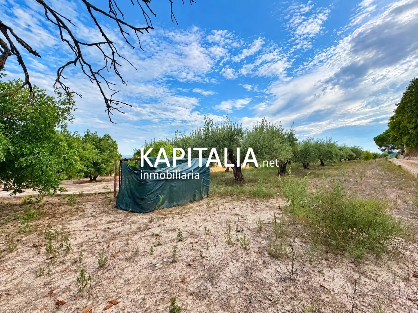Villa in vendita a Centro, imagen 23