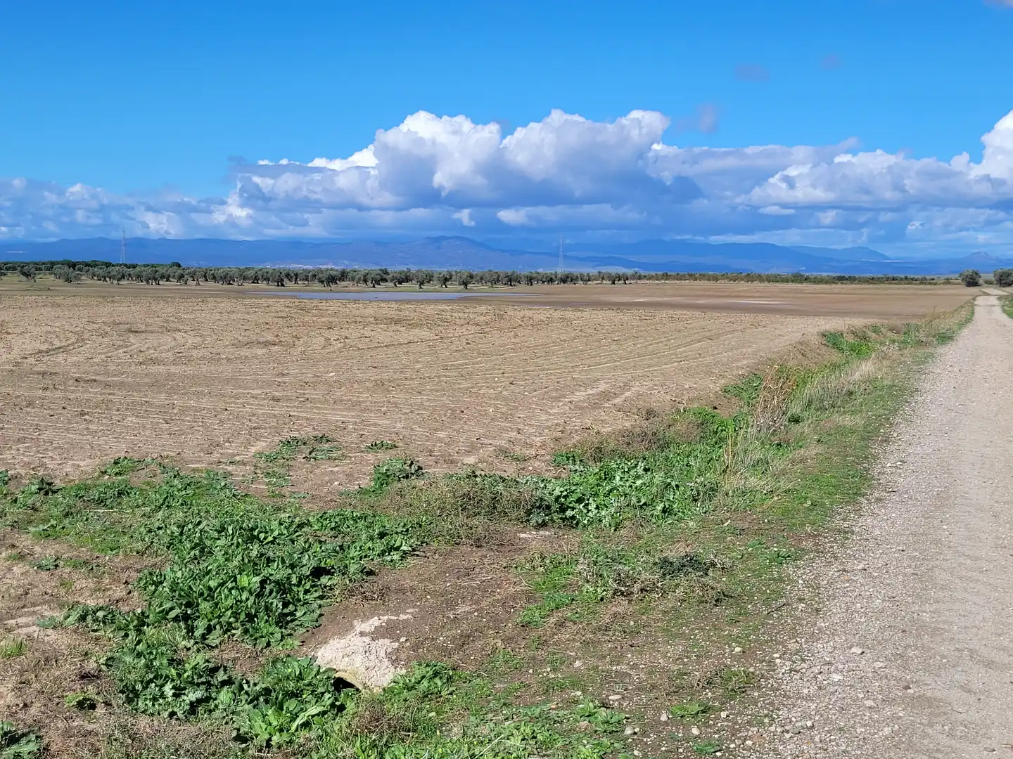 Rural land for sale in Santo Domingo-Caudilla, imagen 9