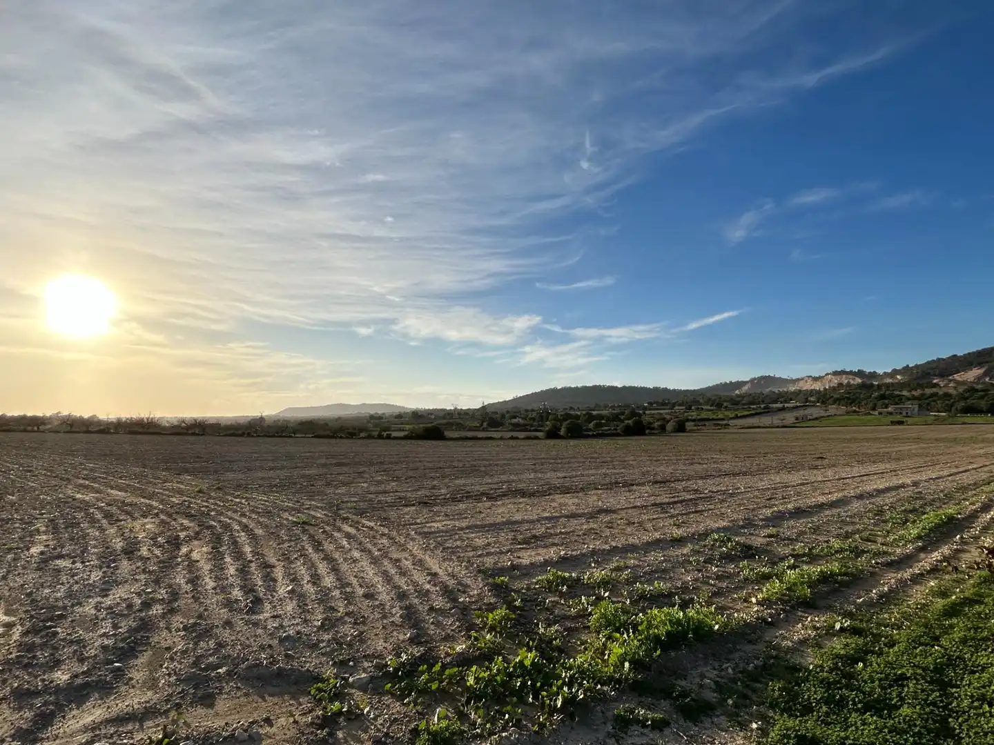 Terreny residencial en venda a Porreres