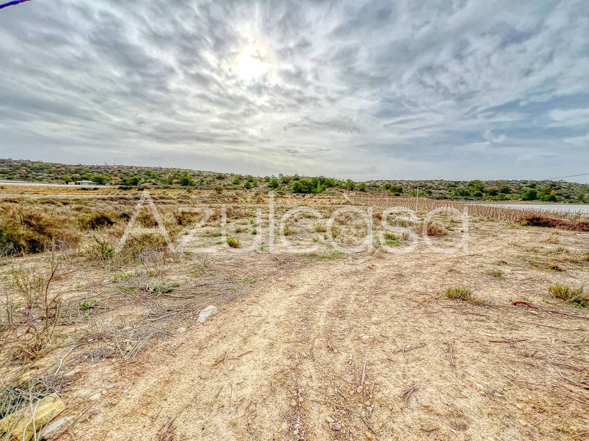 Terreno en venta en Monforte del Cid