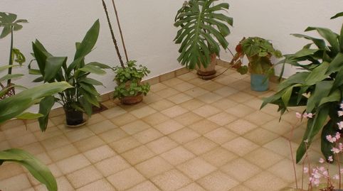 Foto 3 de Piso de alquiler en Zona Papa Luna - Platja del Gurugú, Benicarló