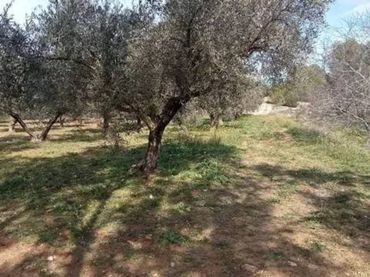Terreno rustico in vendita a Calle Poligono 1 Parcela 14 Serratel No Number