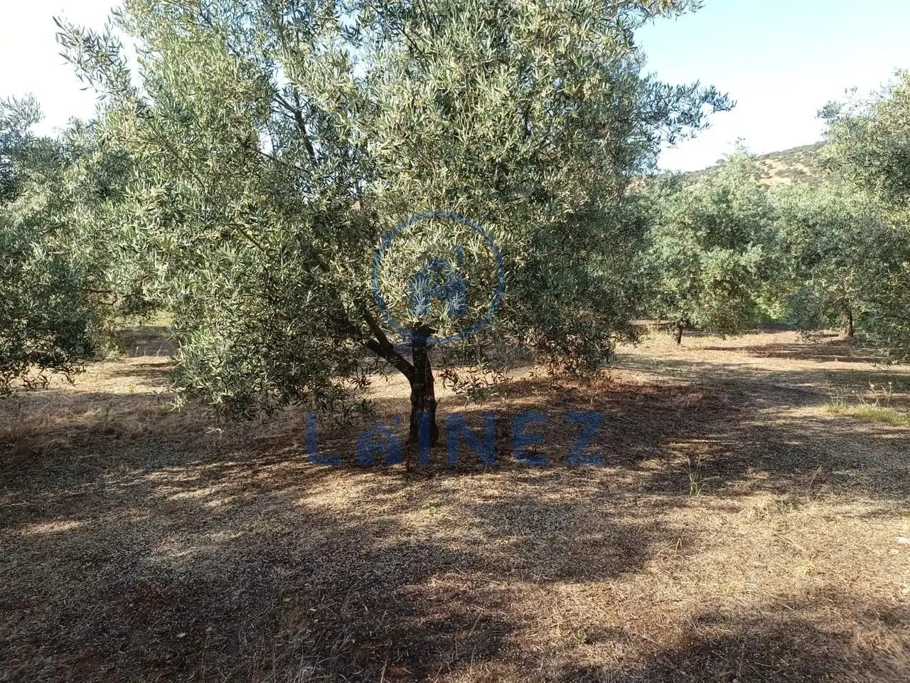 Grundstücke und Bauplätze zum Verkauf in Norte-Sierra, imagen 18
