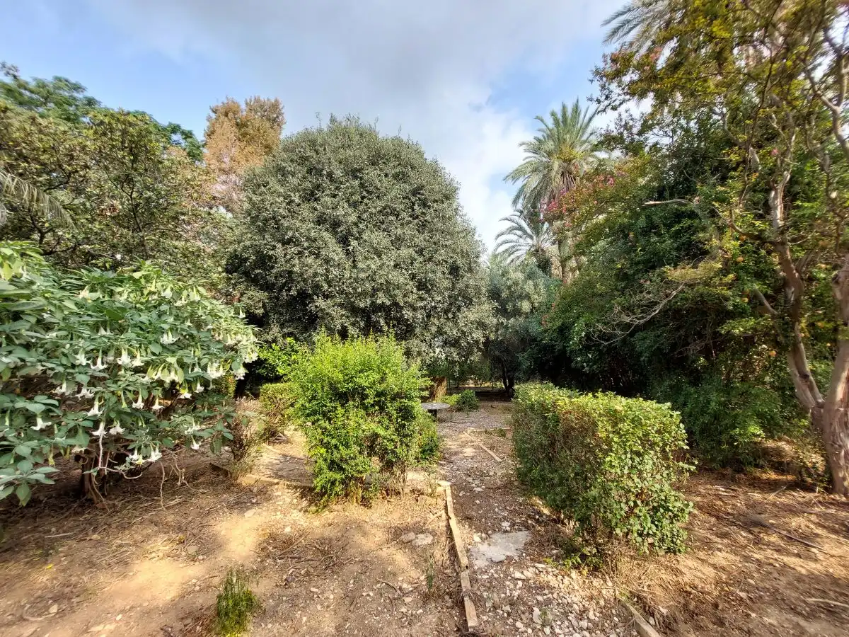Garden of Country homes for sale in Ondara  with Private garden, Terrace and Swimming Pool