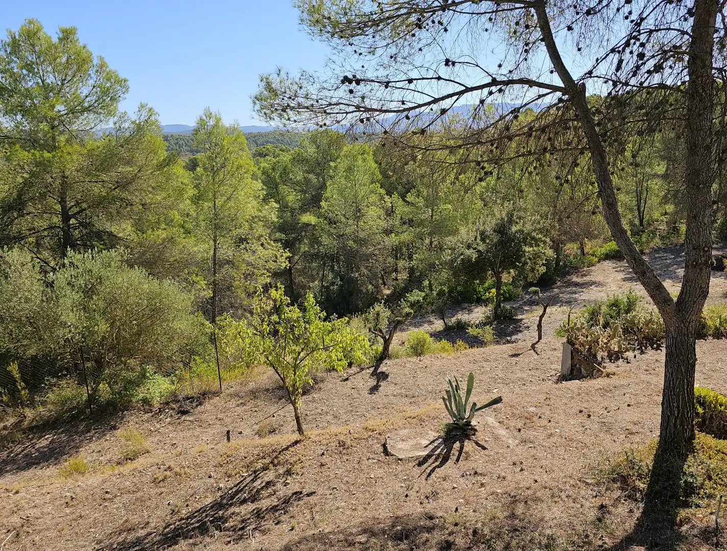 Finca rústica en venta en Tivissa con Aire acondicionado y Internet