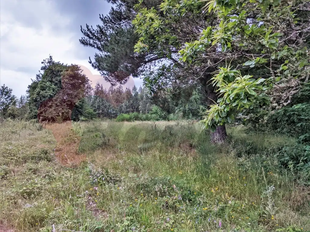 Maison à vendre à Outeiro de Rei, imagen 9