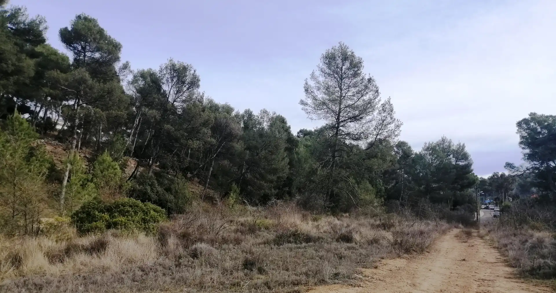 Terreny residencial en venda a Carrer de Bellaterra 267, imagen 4