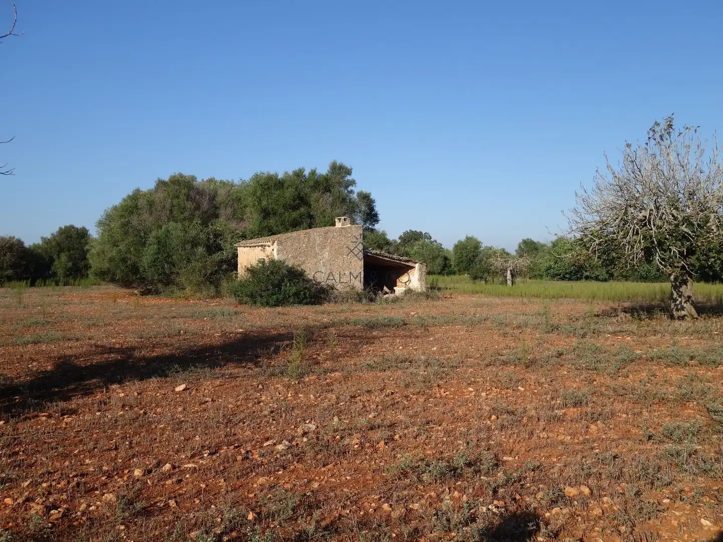 Residential land for sale in Felanitx Poble, imagen 5