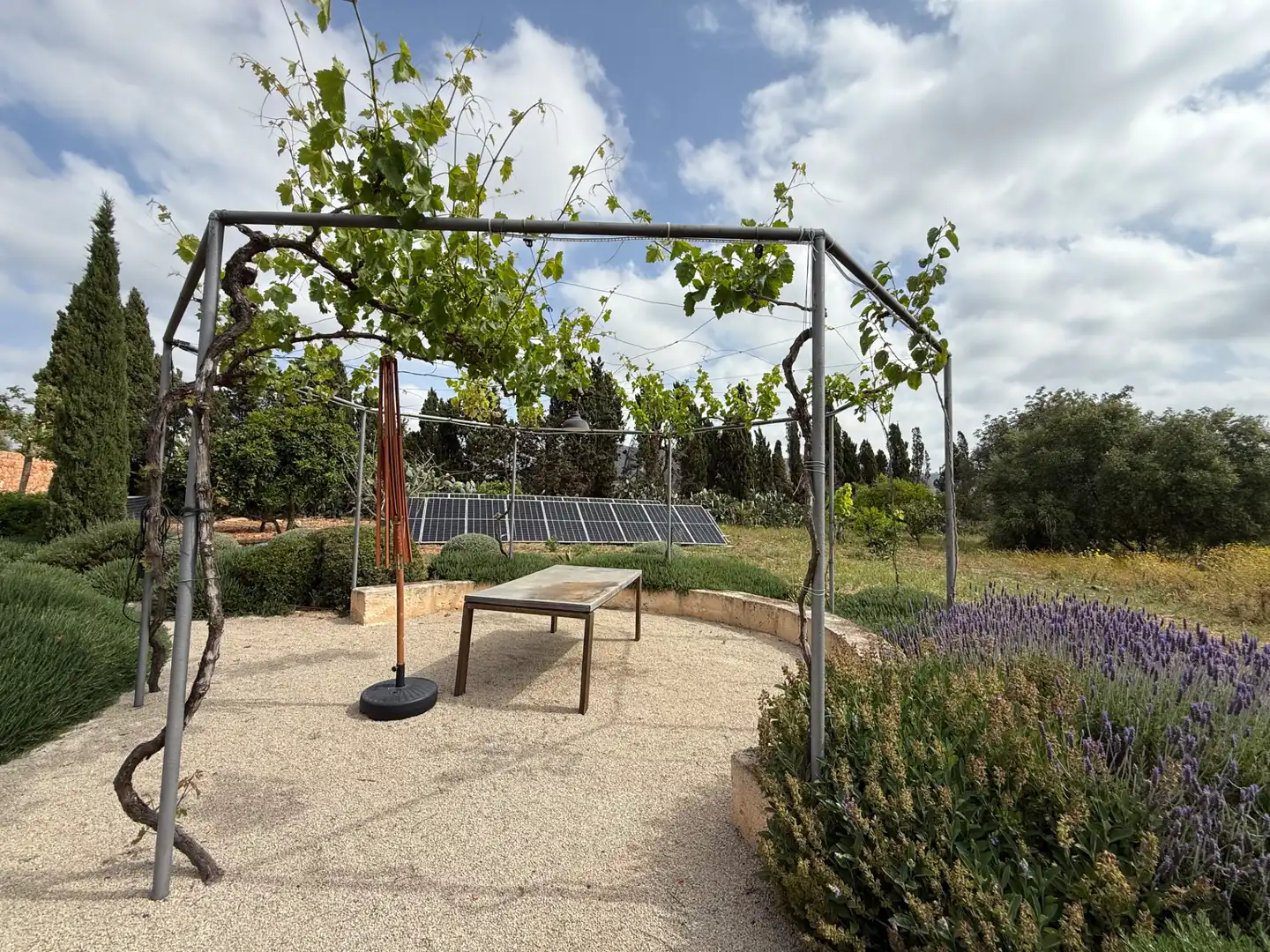 Garden of Houses for sale in Llucmajor  with Air Conditioner, Heating and Private garden