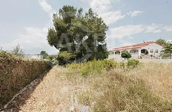 Rural land for sale in Alio, imagen 3