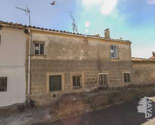 Exterior view of House or chalet for sale in Burgos Capital  with Private garden