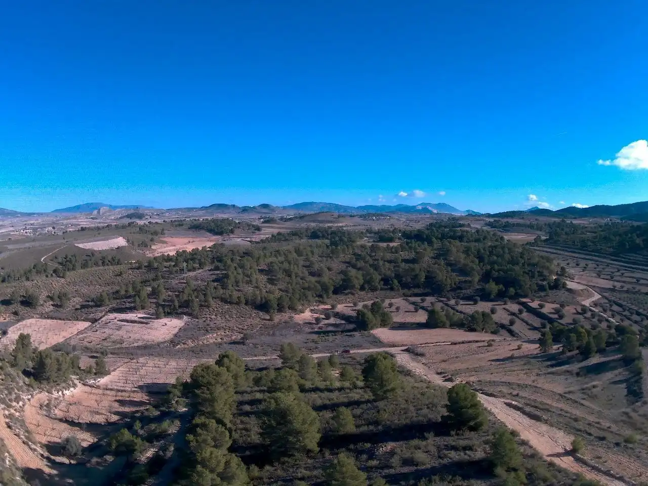Rustikales Grundstück zum Verkauf in Jumilla, imagen 4