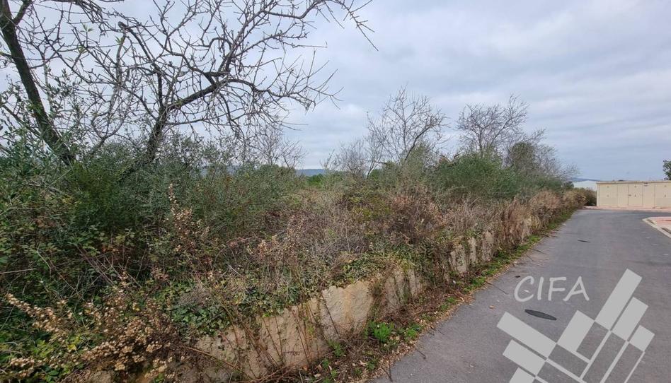 Photo 1 of Industrial land for sale in Street Alio, 13, Alcalà de Xivert pueblo, Castellón