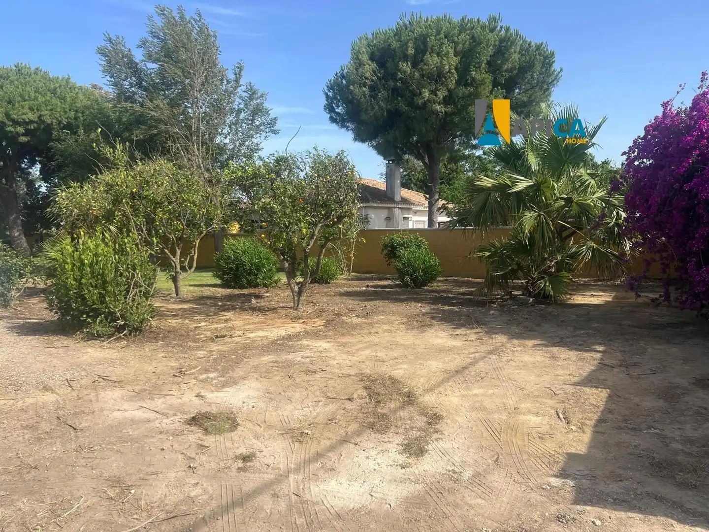 Casa o xalet en venda en Conil de la Frontera amb Terrassa, Traster i Piscina