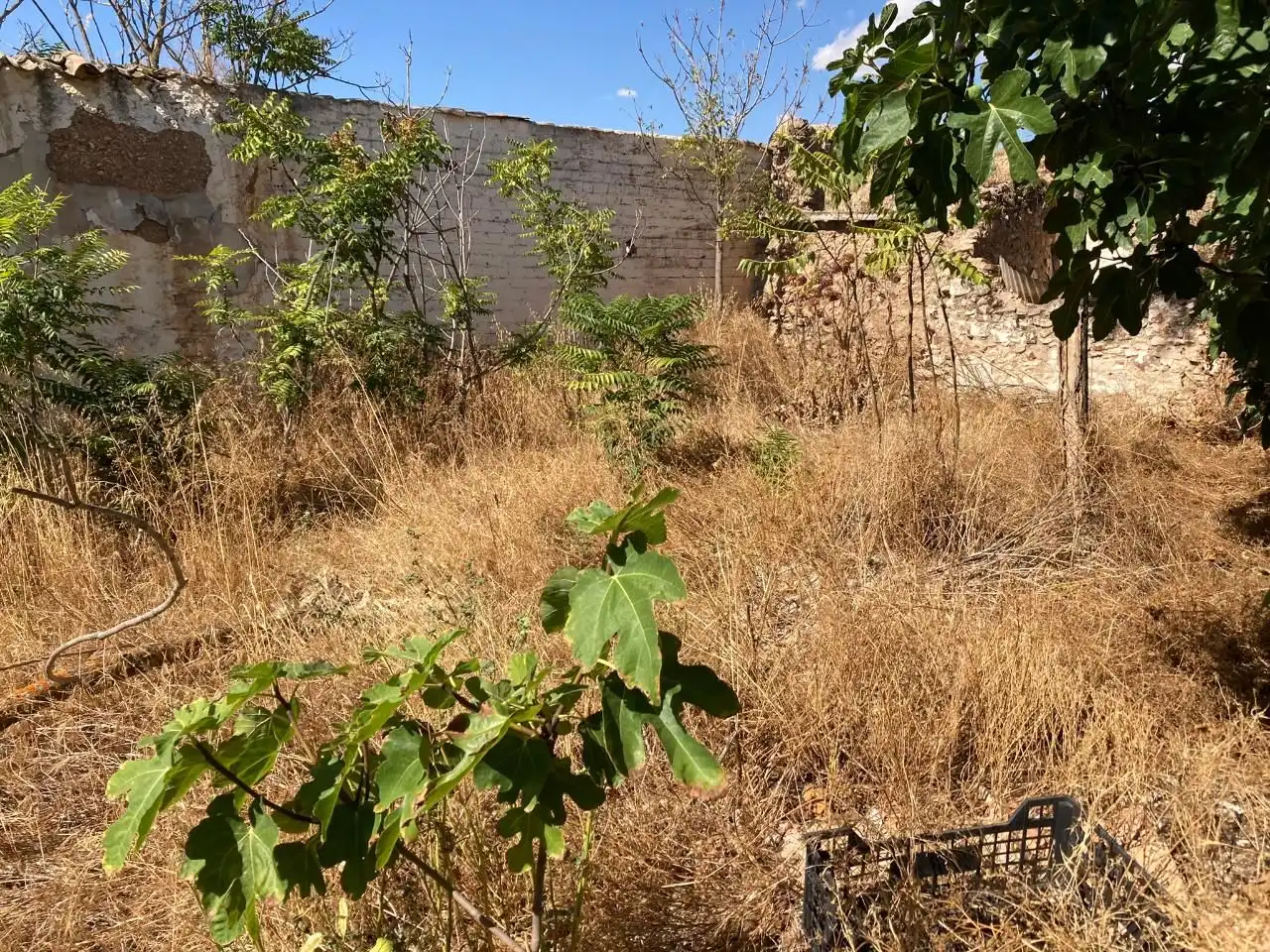Terreny residencial en venda a Poblado Poblachuela Anj, imagen 4