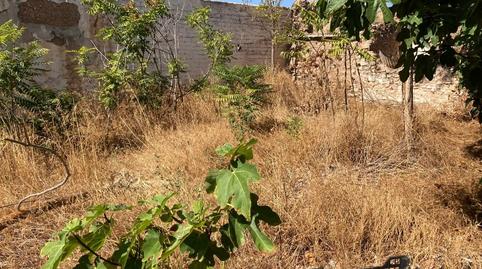 Foto 4 von Residential zum Verkauf in Poblado Poblachuela Anj, La Poblachuela, Ciudad Real Capital