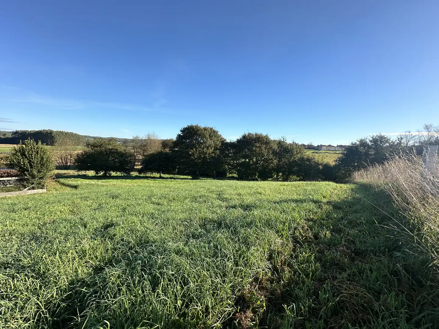 Terreni e lotti in vendita a Lugar Currais, imagen 5