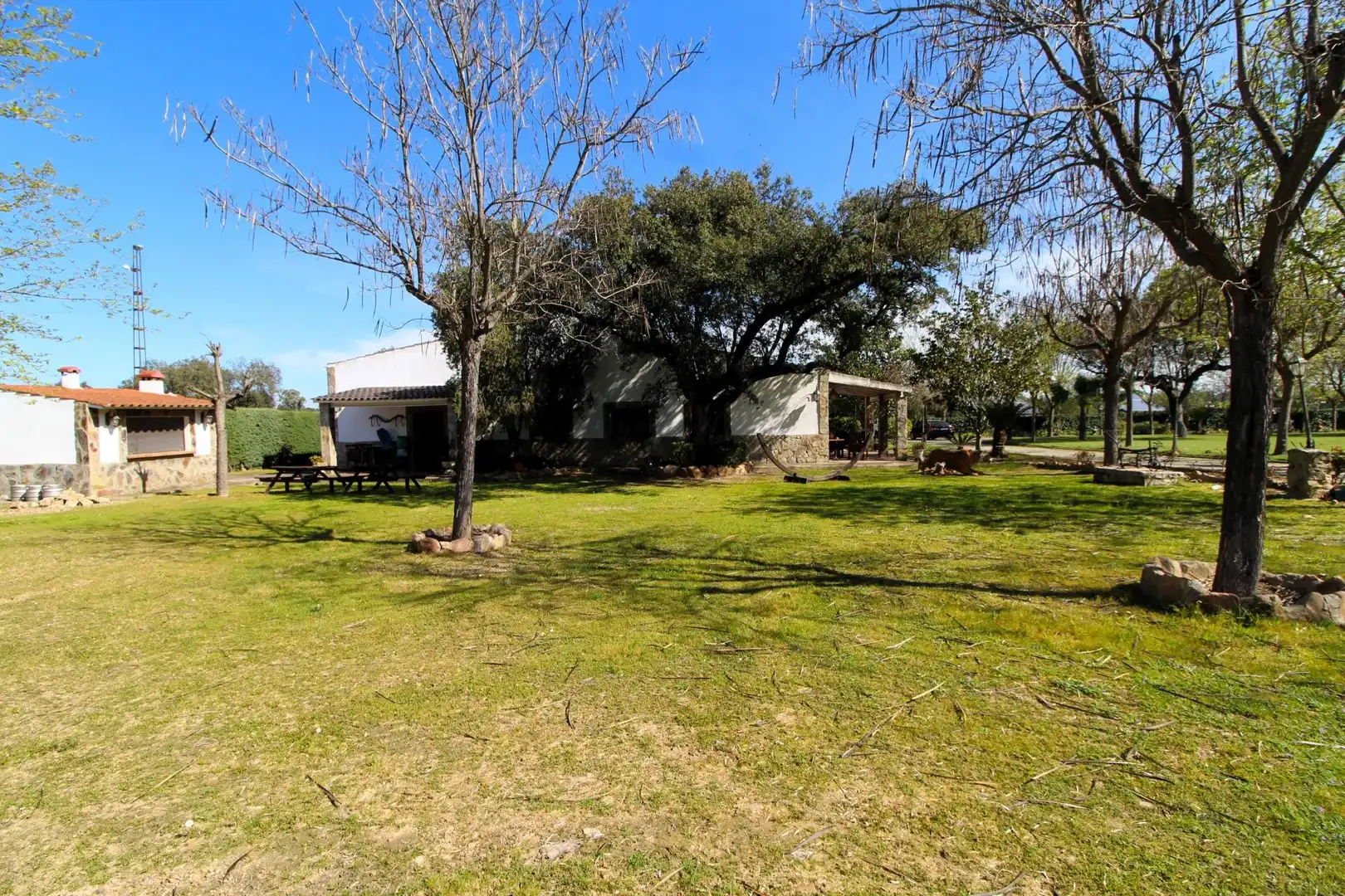 Casa con piscina en venta en Carretera de Sevilla - Los Montitos, imagen 47