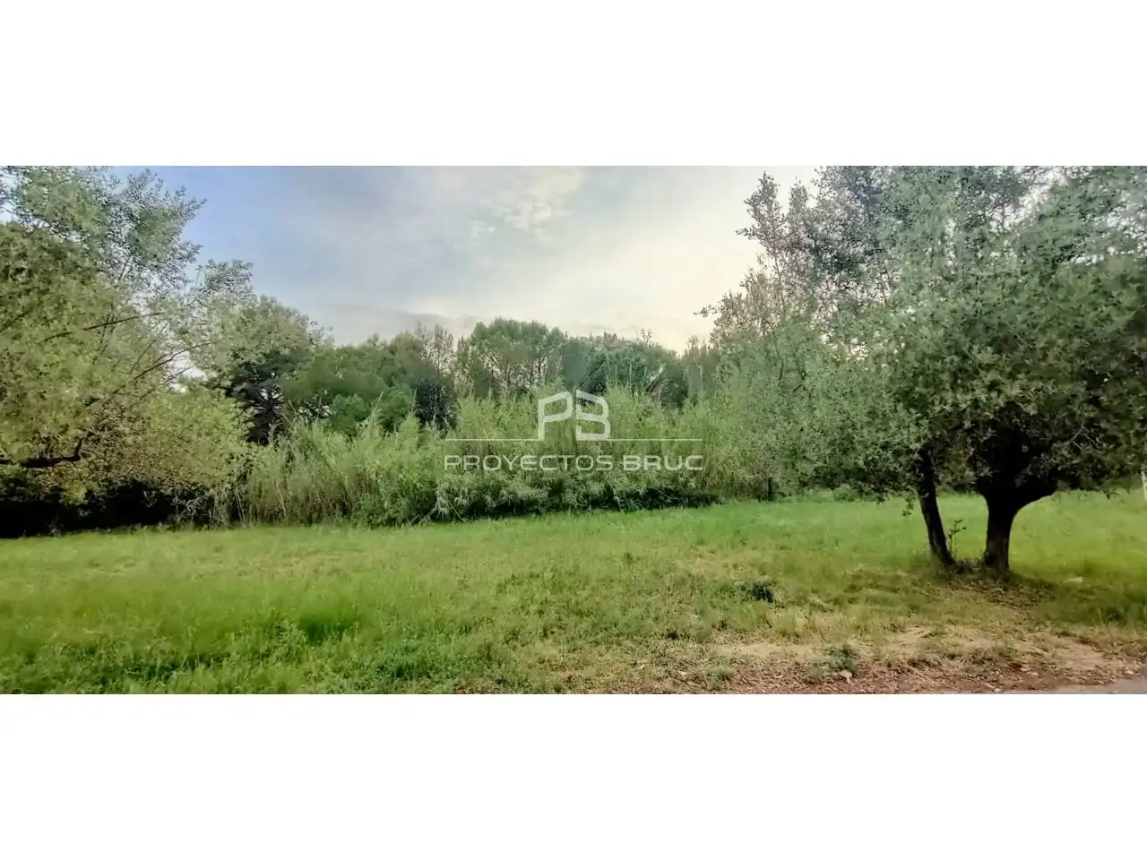 Houses for rent in Collbató