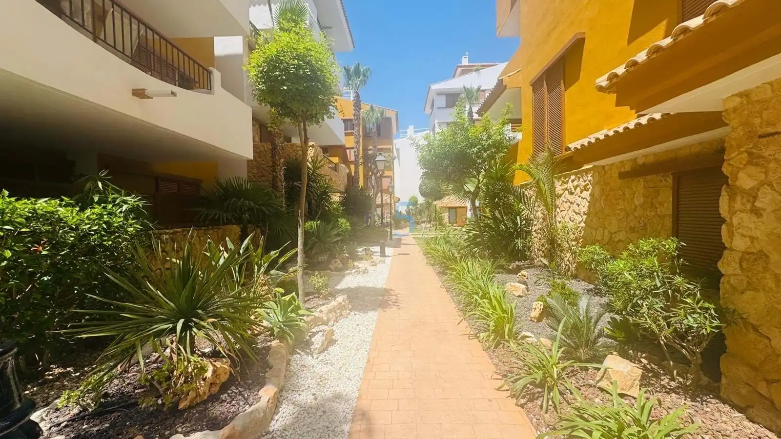 Piso con terraza en venta en Orihuela Costa, imagen 24