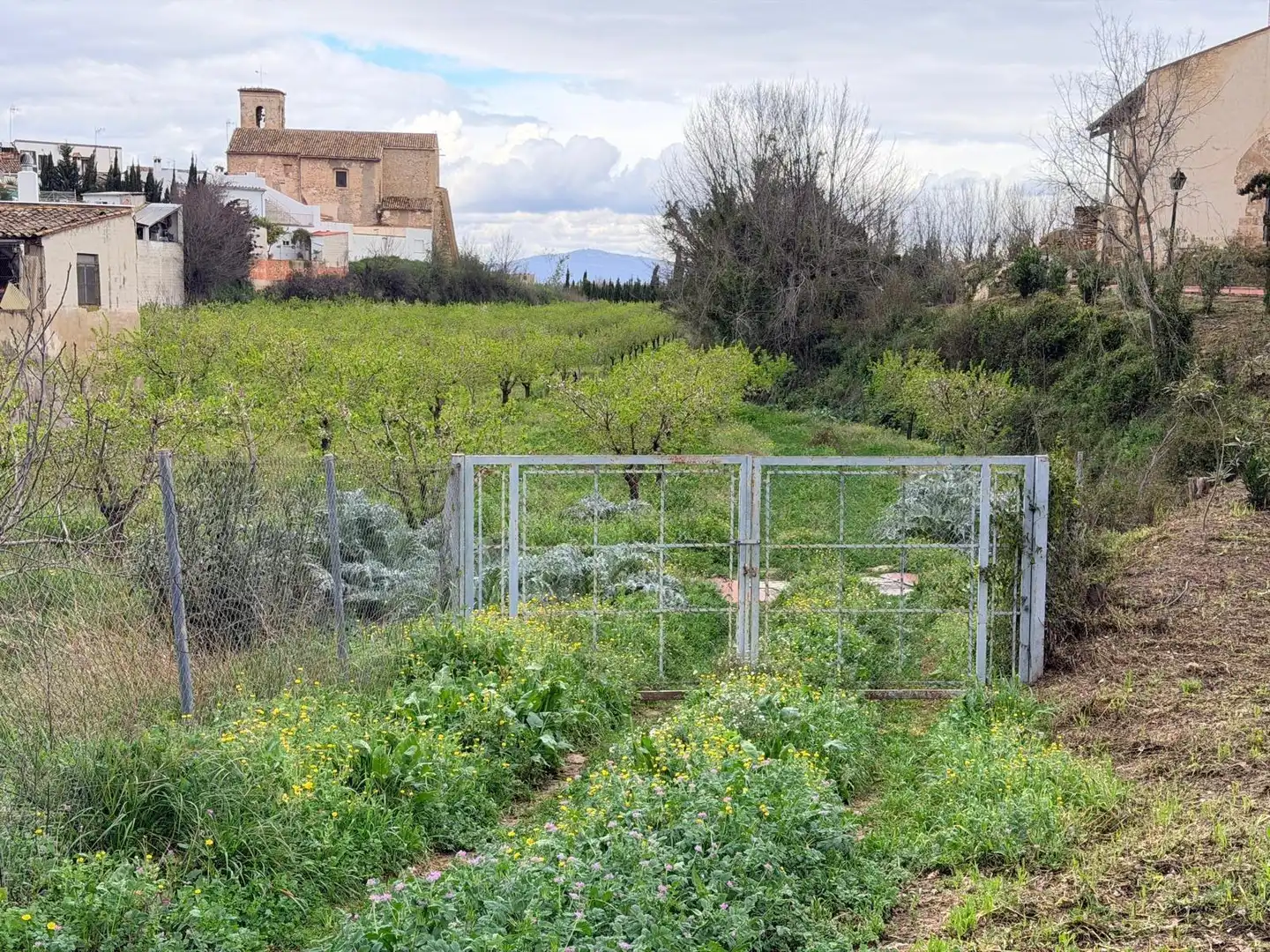 Terreno residenziale in vendita a Albaida