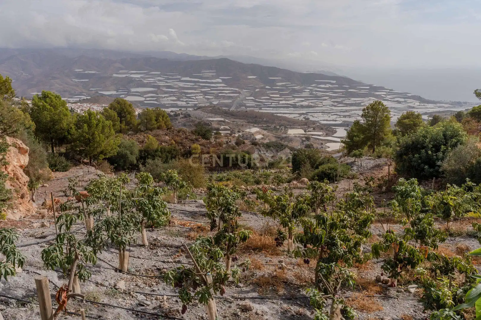 Terreni e lotti in vendita a PHPX+WF Gualchos, Spain, imagen 44