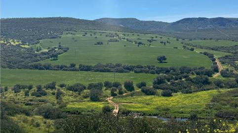 Foto 3 de Finca rústica en venda a Centro - Plaza Mayor, Ciudad Real Capital