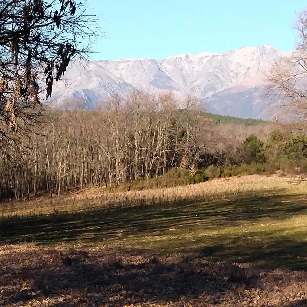 Terreni e lotti in vendita a Villanueva de la Vera, imagen 70