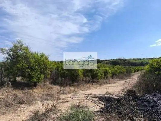 Terreny rústic en venda a Vallés, imagen 19