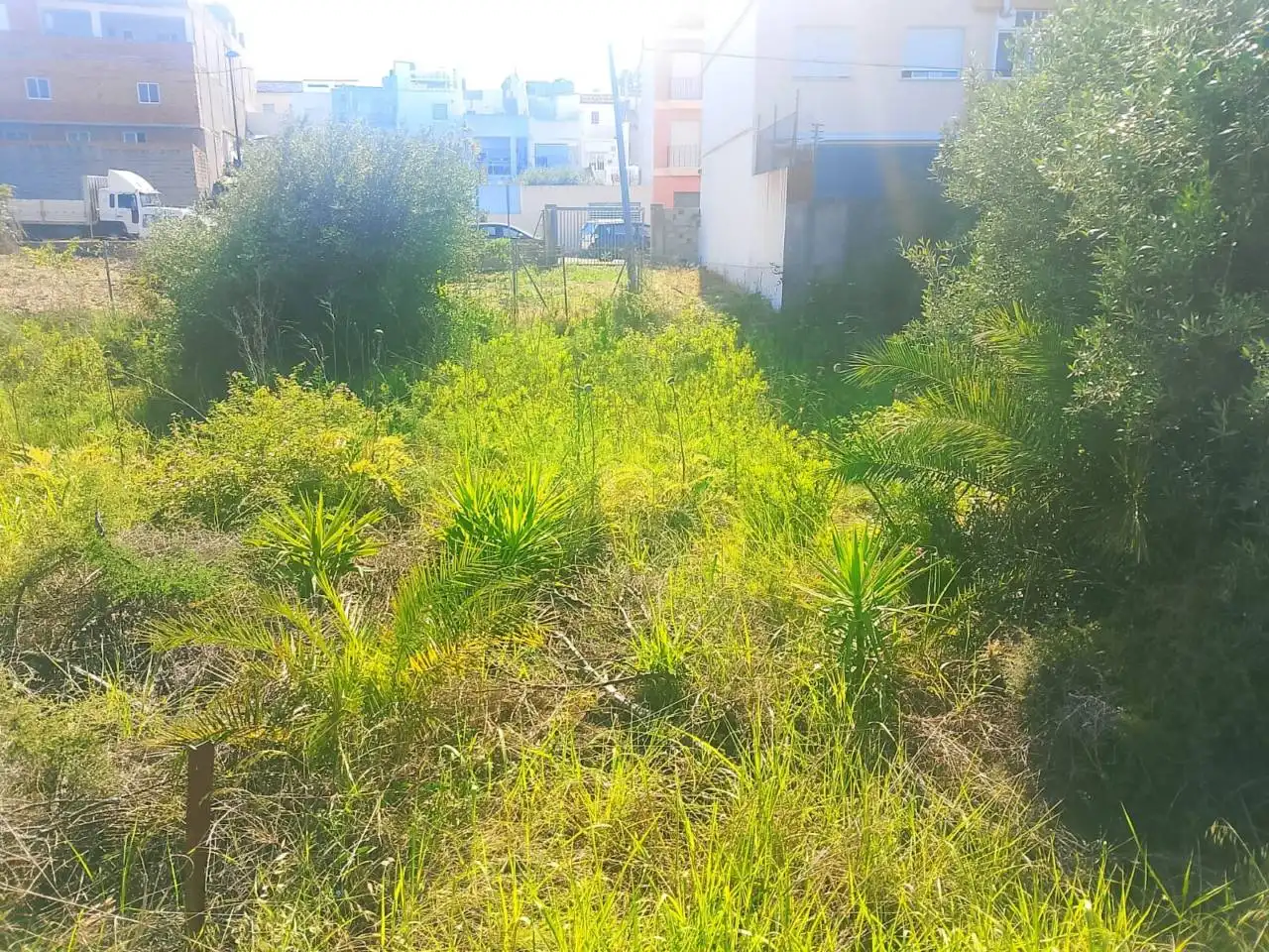 Wohnbaugrundstück zum Verkauf in Calle Valldigna, imagen 3
