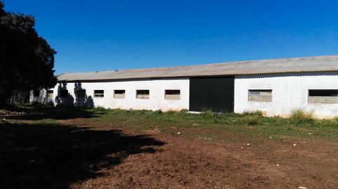 Photo 4 of Country house for sale in Carretera Ronda Campillos, 23, Cuevas del Becerro, Málaga