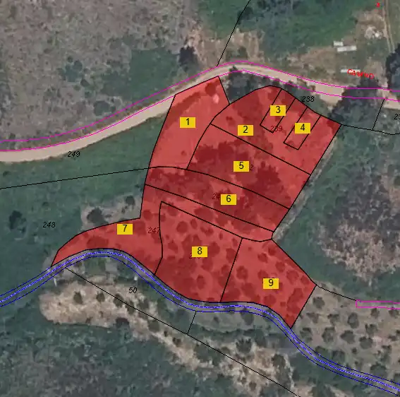 Rural land for sale in Torre de Don Miguel