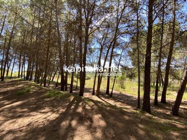 Terreno rústico en venta en L'Olleria