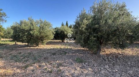 Terreno en venta en Totana, imatge 5
