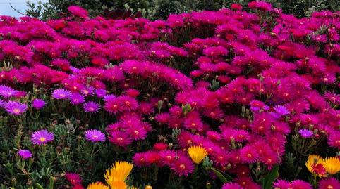 Foto 2 de Casa o xalet en venda a C. de Valencia, Embajadores - Lavapiés, Madrid