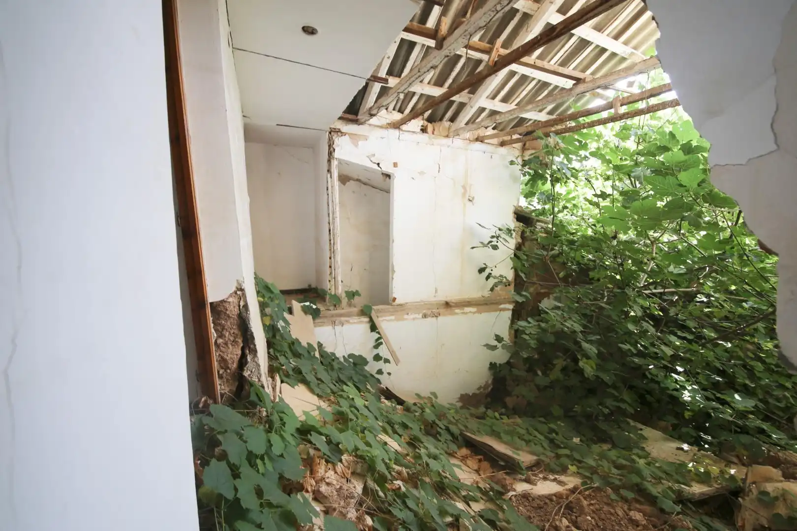 Terreni e lotti in vendita a Campo de Criptana, imagen 11