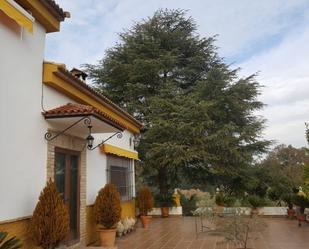 Jardí de Casa o xalet en venda en Andújar amb Aire condicionat i Piscina