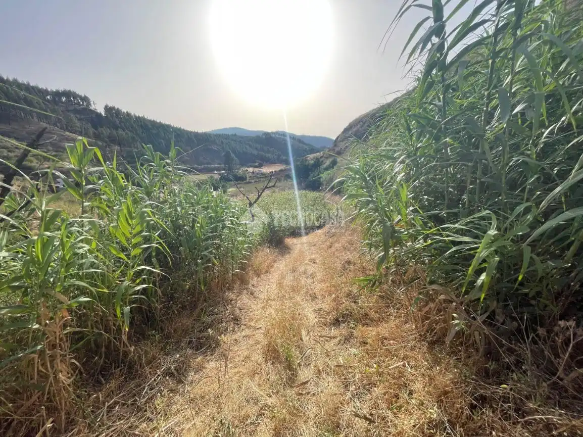 Terreno en venta en Gáldar