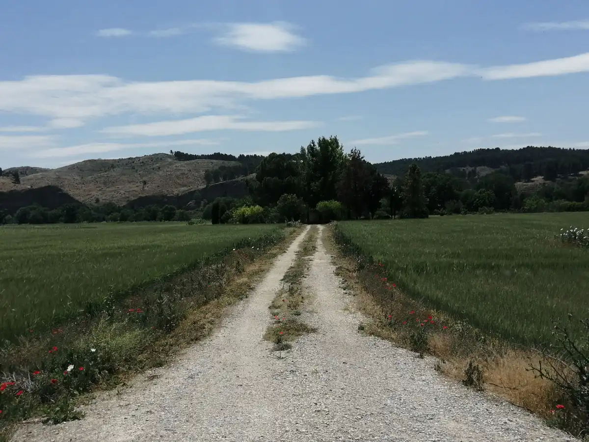 Außenansicht von Residential zum Verkauf in Rivas-Vaciamadrid