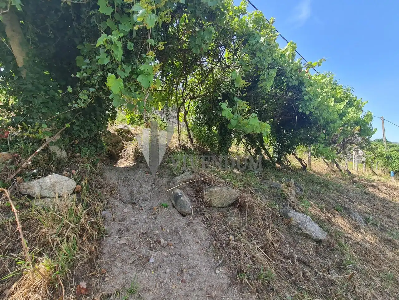 Rural land for sale in Arbo, imagen 8
