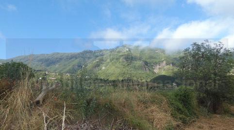 Foto 3 von Grundstücke zum Verkauf in Palo Blanco, Los Realejos