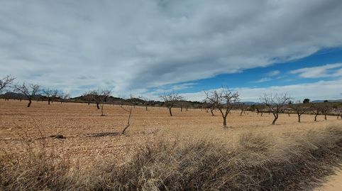 Photo 5 of Residential for sale in Umbria (la), Abanilla, Murcia