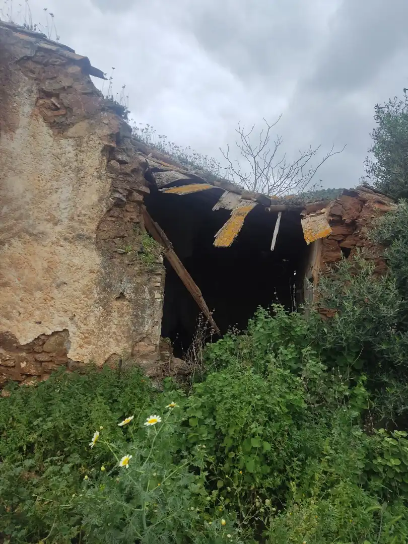 Außenansicht von Country house zum Verkauf in Málaga Capital