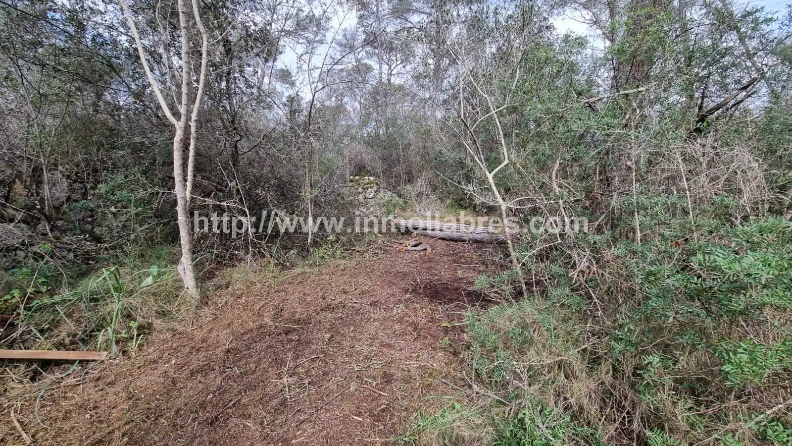 Residencial en venda a Lloret de Vistalegre