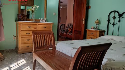 CASA EN LA RAMBLA, Bild 2