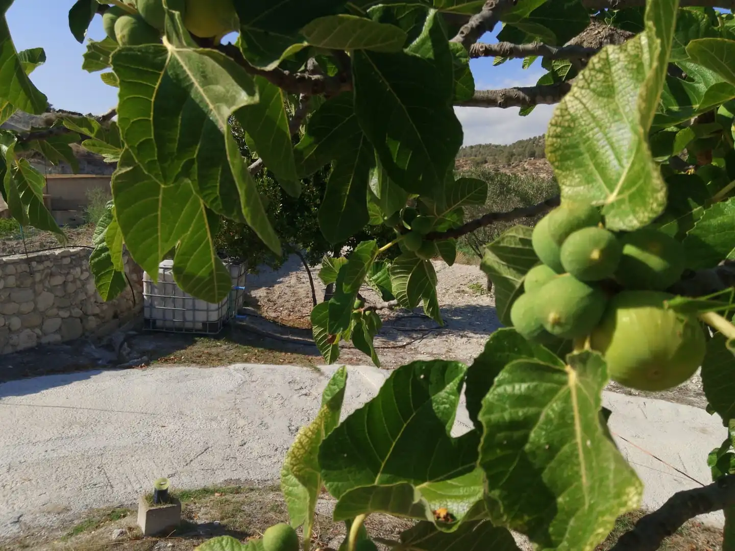 Terreno rustico in vendita a N/A, imagen 129