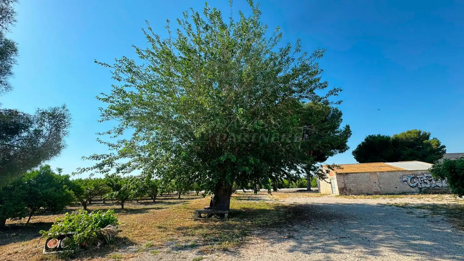Finca rústica en venda en Redován