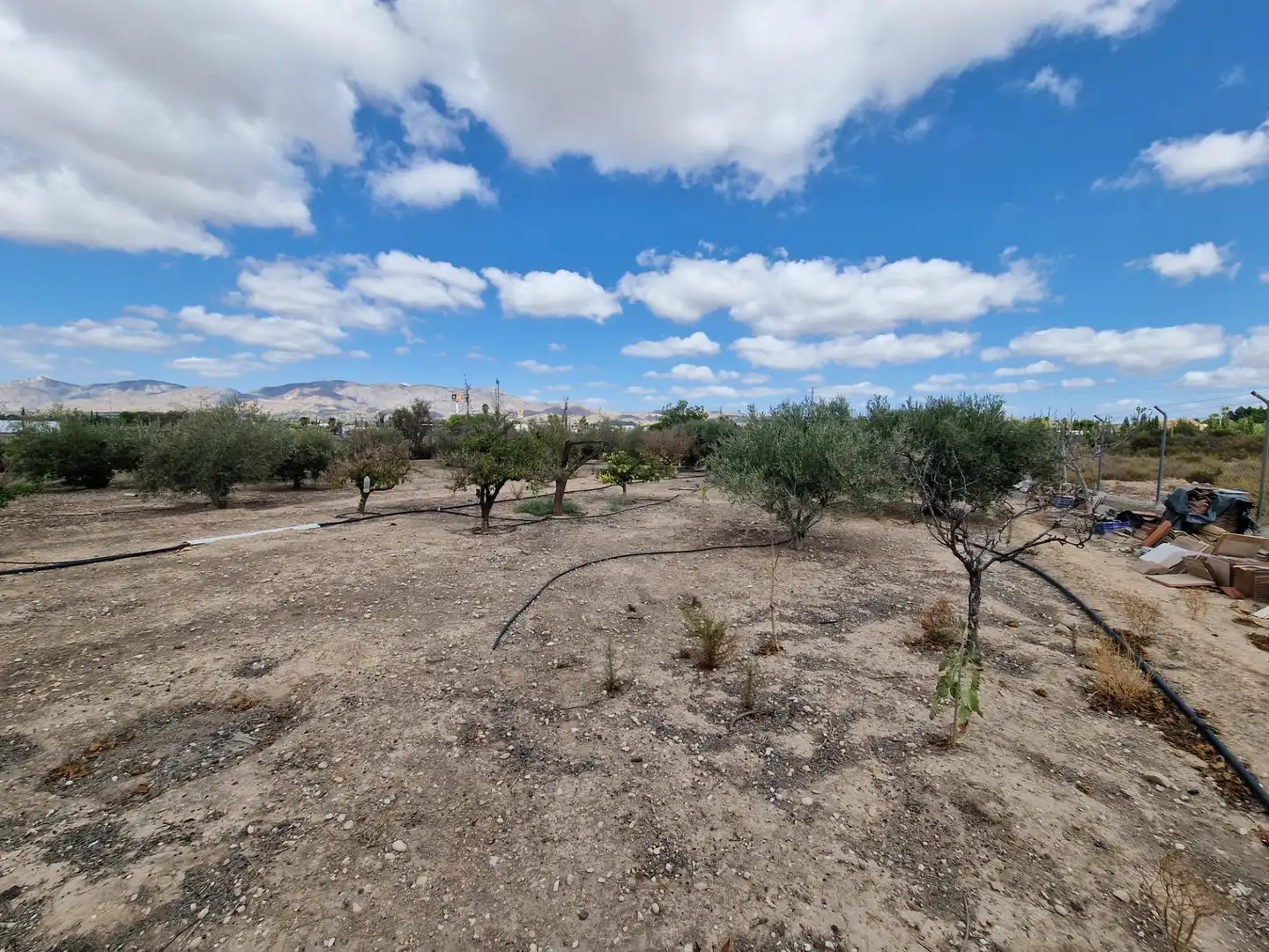 Villa mit Garten zum Verkauf in Crevillent, imagen 34
