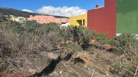 Foto 4 de Casa o chalet en venta en San Antonio, 14, Granadilla de Abona ciudad, Santa Cruz de Tenerife