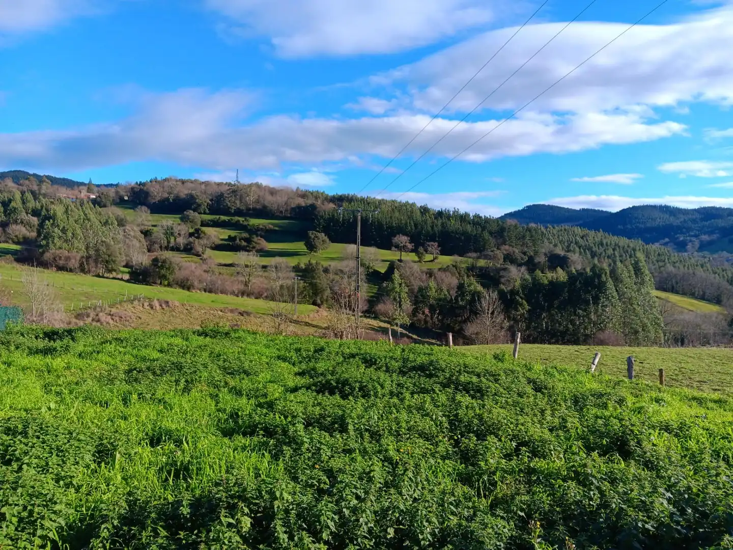 Vista exterior de Finca rústica en venta en Artzentales